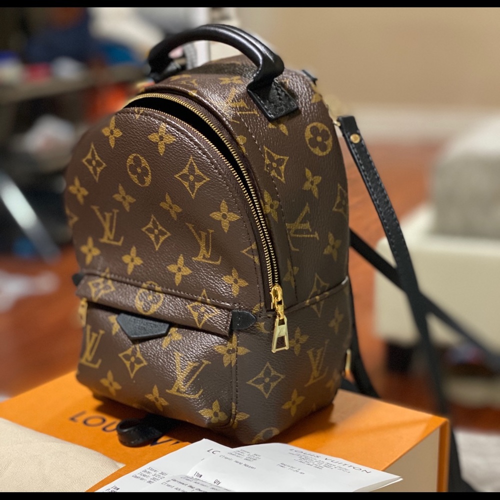 Louis Vuitton Palm spring mini